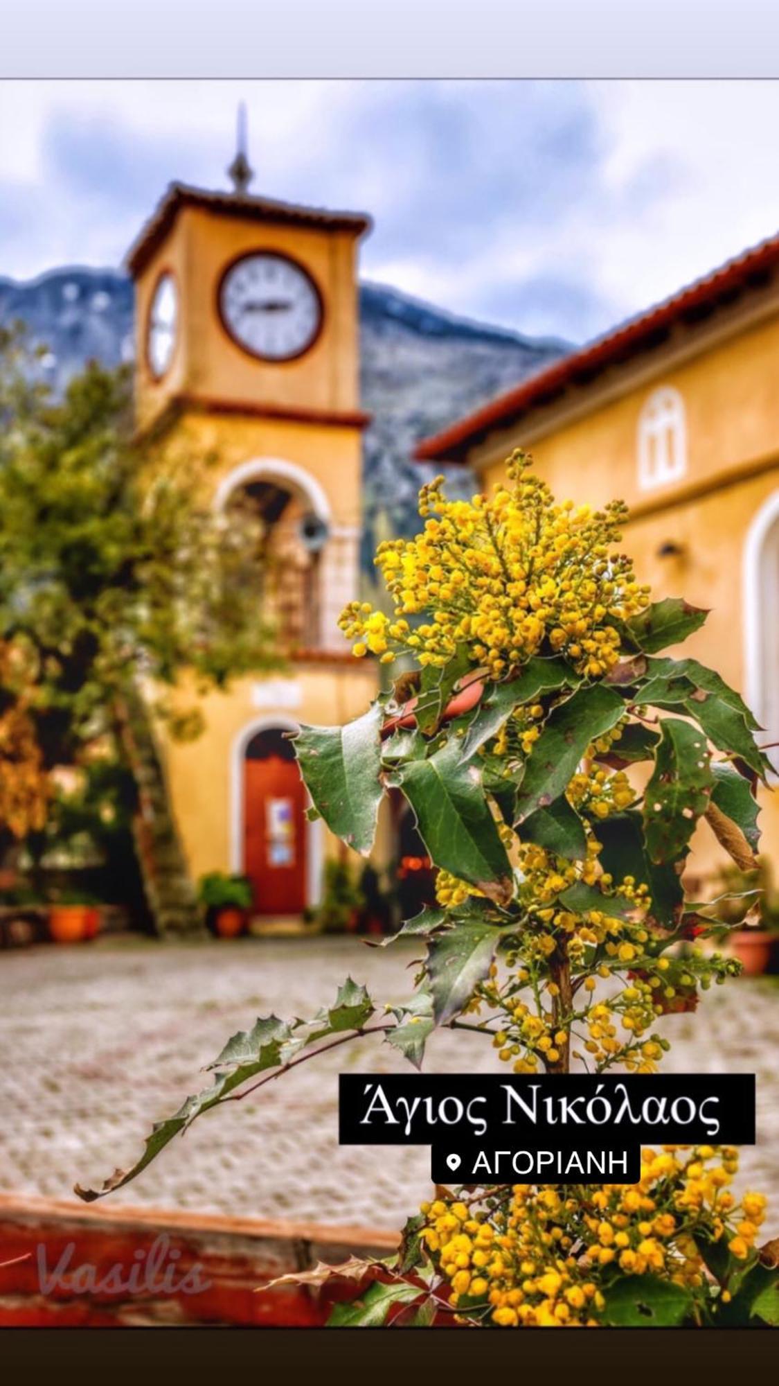 Asimina Guesthouse, Eptalofos Parnassos Екстериор снимка