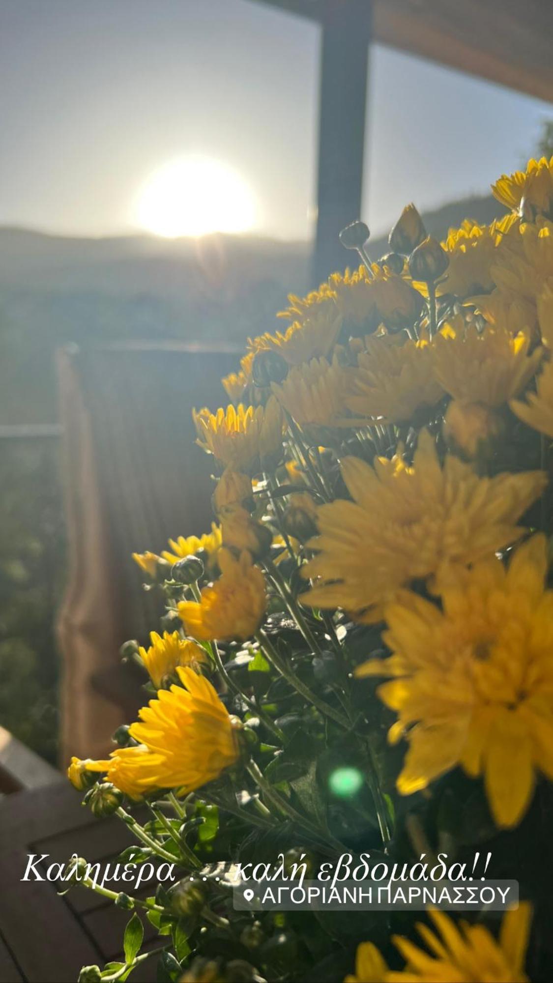 Asimina Guesthouse, Eptalofos Parnassos Екстериор снимка