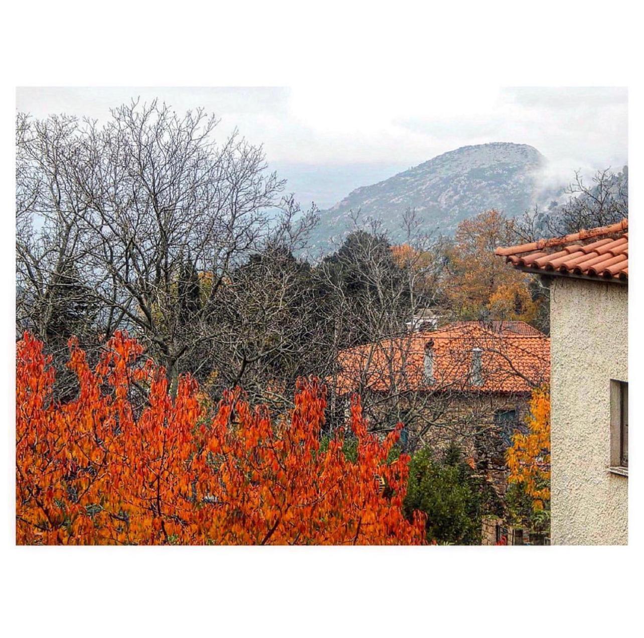 Asimina Guesthouse, Eptalofos Parnassos Екстериор снимка