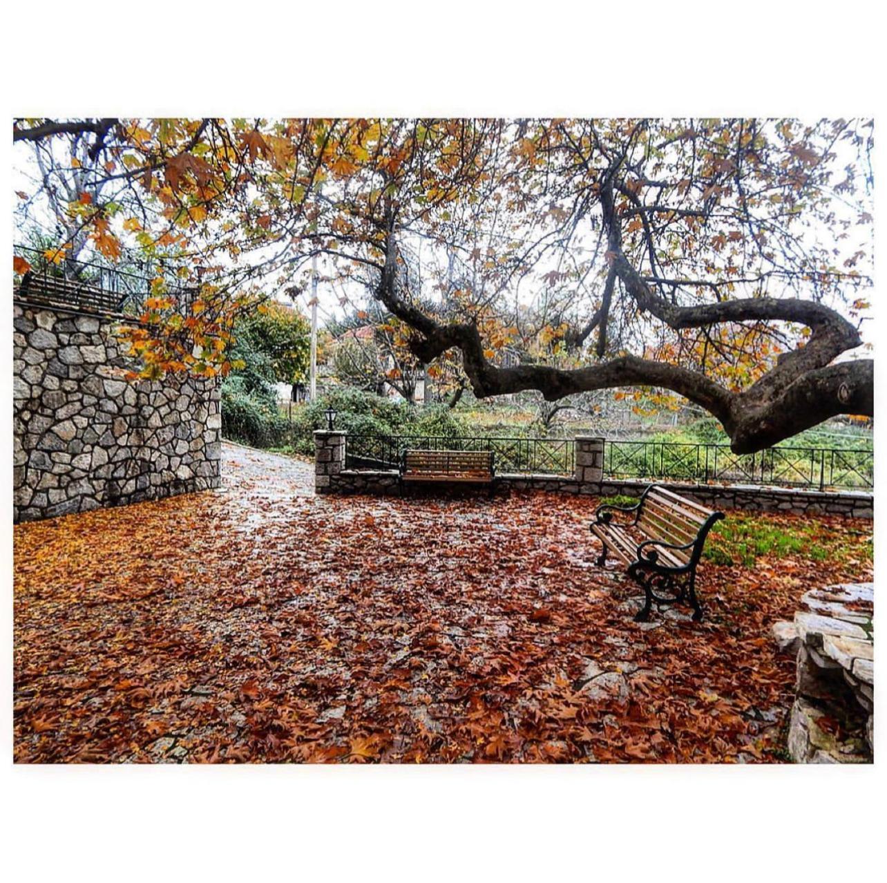 Asimina Guesthouse, Eptalofos Parnassos Екстериор снимка