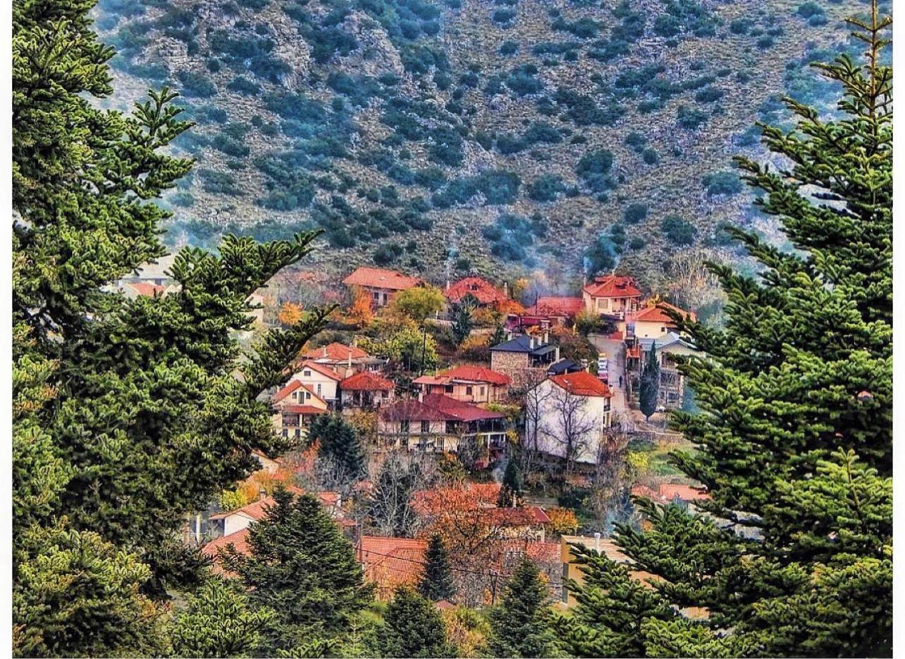 Asimina Guesthouse, Eptalofos Parnassos Екстериор снимка