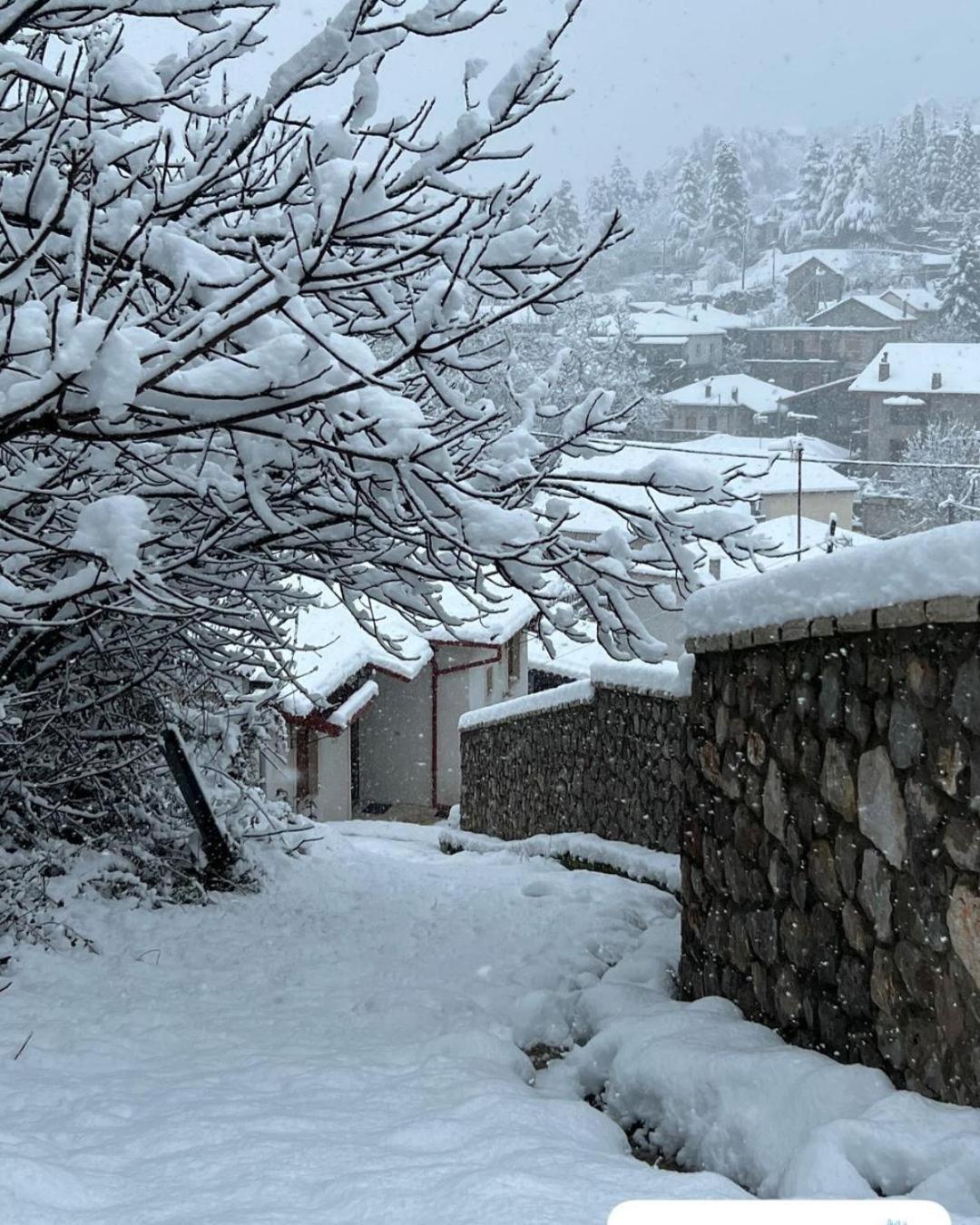 Asimina Guesthouse, Eptalofos Parnassos Екстериор снимка